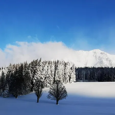 Landhaus Klinkan Ramsau am Dachstein